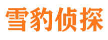 梅江市婚外情调查